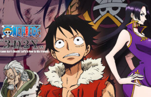 One Piece 3D2Y